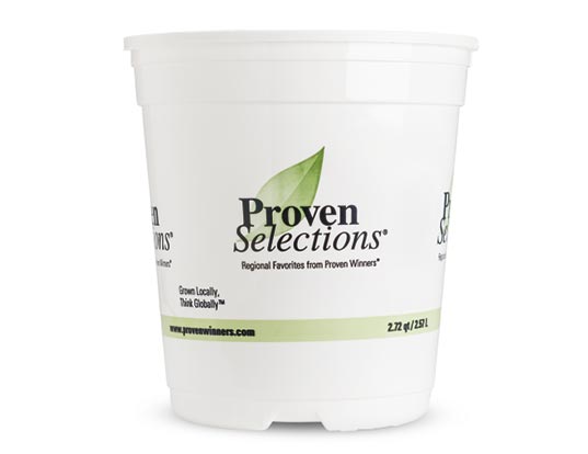 1 Gallon Royale™ Proven Selections® Sold 3 per Tray