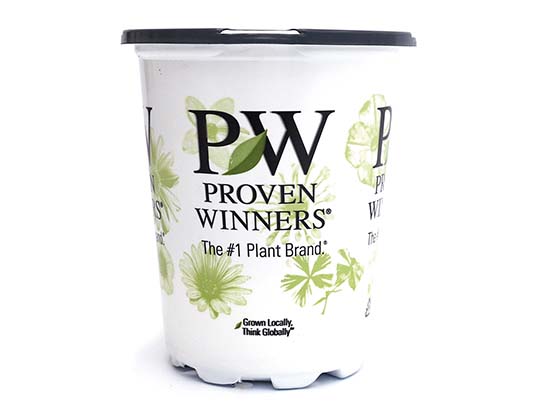 Proven Winners 4.25" Branded Container