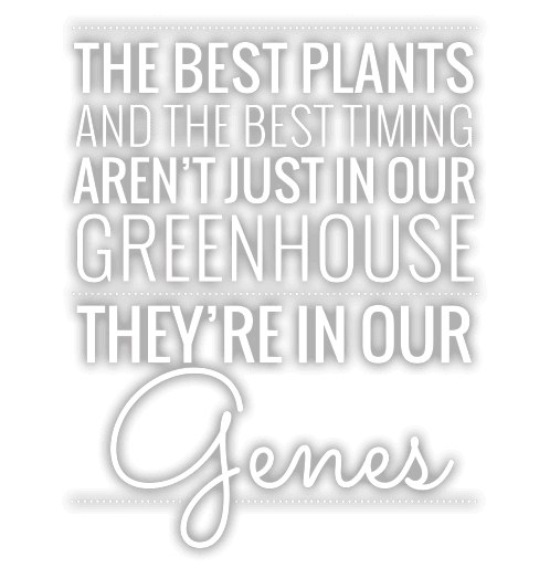 The best plants and the best timing aren't just in our greenhouse. They're in our genes.